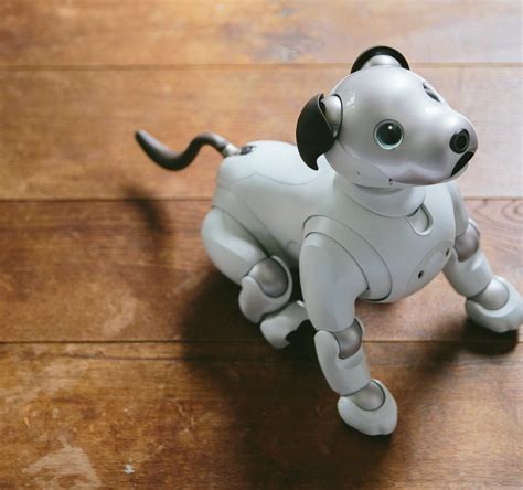 dog e robot for sale